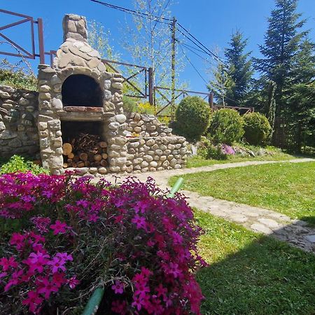 Chalet Mila Mavrovo Ngoại thất bức ảnh