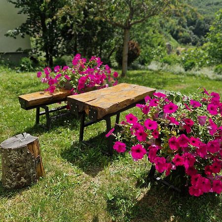 Chalet Mila Mavrovo Ngoại thất bức ảnh