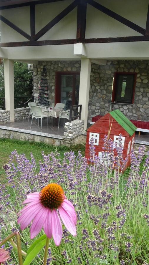 Chalet Mila Mavrovo Ngoại thất bức ảnh