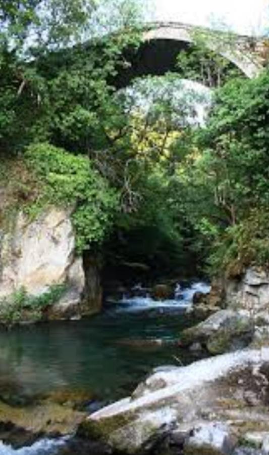 Chalet Mila Mavrovo Ngoại thất bức ảnh