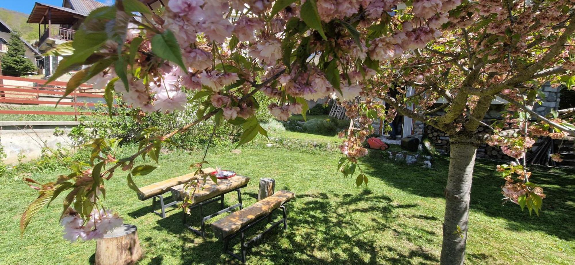 Chalet Mila Mavrovo Ngoại thất bức ảnh